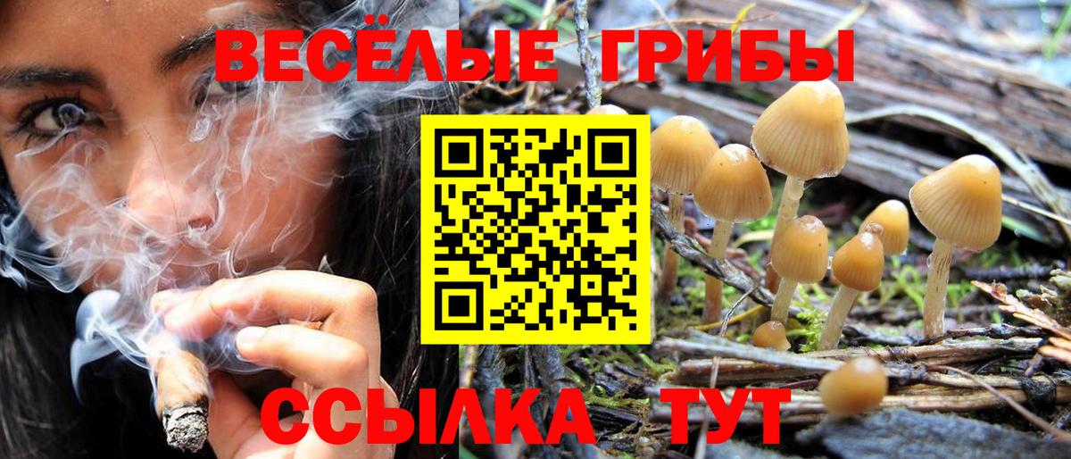 Галлюциногенные грибы ЛСД  Галлюциногенные грибы Cubensis  Лабытнанги  Вход с VPN 