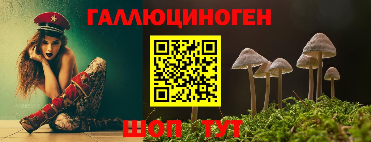 Псилоцибиновые грибы Psilocybe Лабытнанги